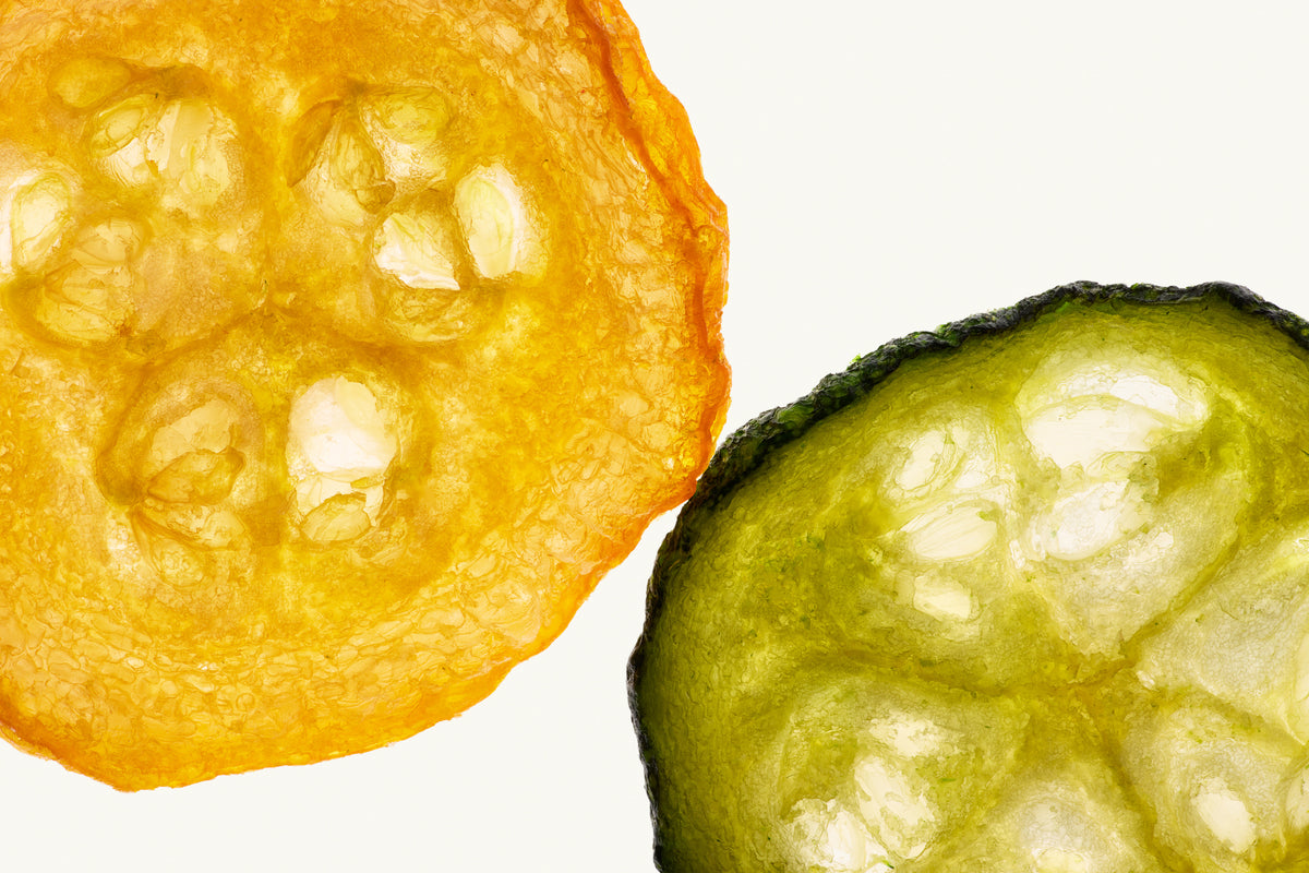 ZUCCHINI - 6 Pack